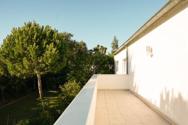 Edles Apartment In Architektenvilla Mit Grossem Pool, Sauna, Dachterrasse Und Malerischem Garten 파타이아스 외부 사진